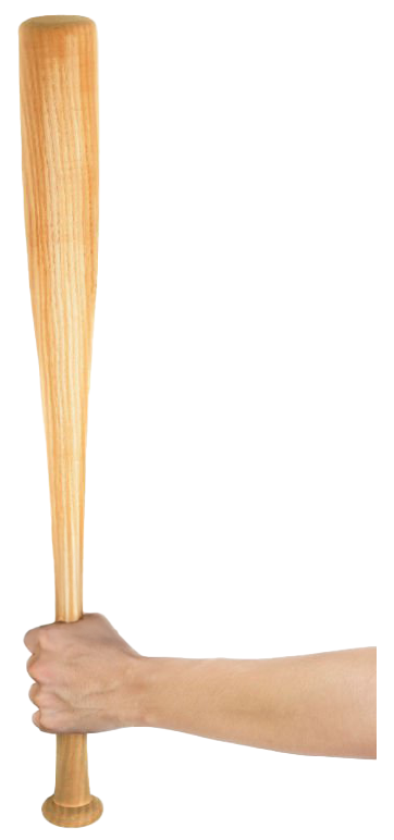 Bat